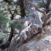  Samaria Gorge